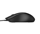 HP 100 BLK WRD Mouse