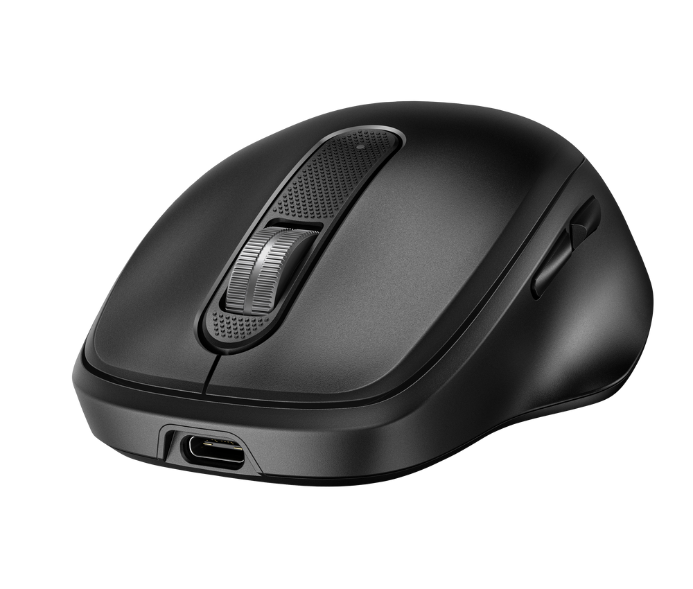 HP Mice